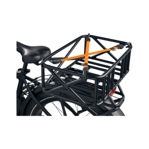 Cargo Straps