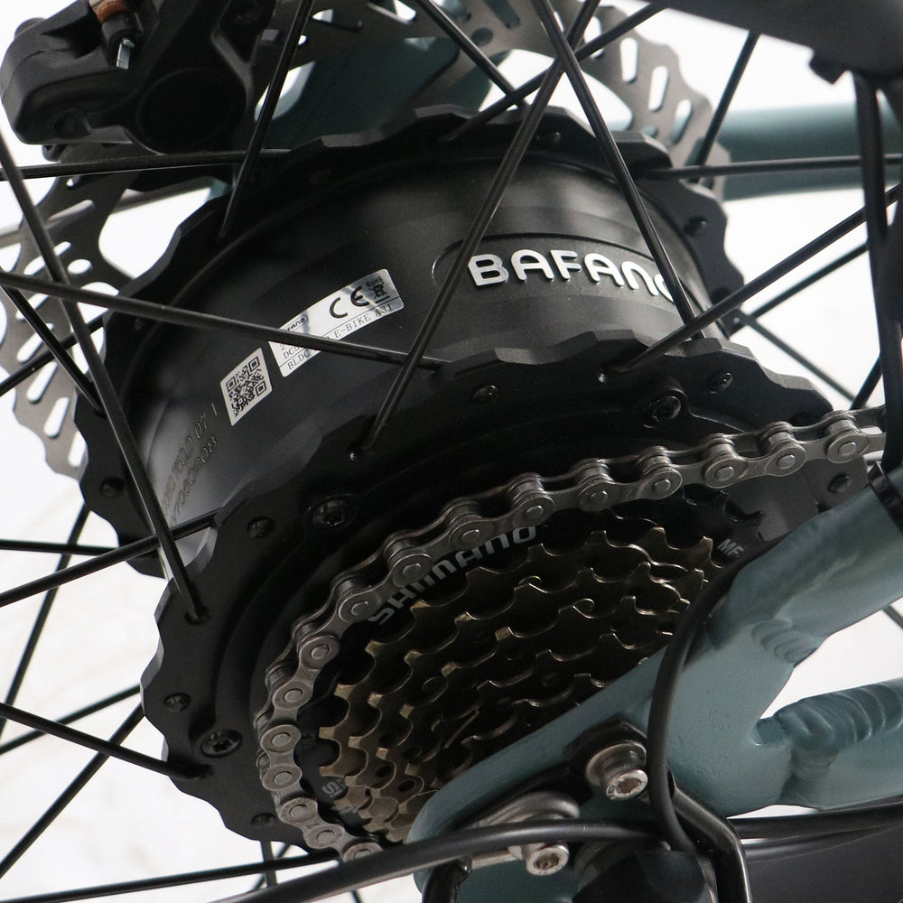 Step Over 24x3 - 52v 750W Beach Cruiser Electric Bike - Image 3