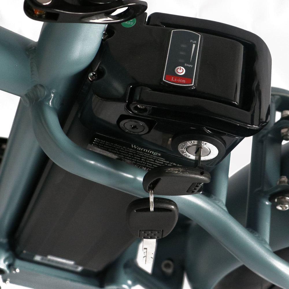 Step Over 24x3 - 52v 750W Beach Cruiser Electric Bike - Image 4