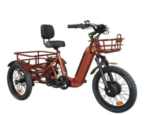 BREEZY Electric Trike 3 Wheel eBike TRIKE GT-48v 500 w Fat Tire Electric Tricycle