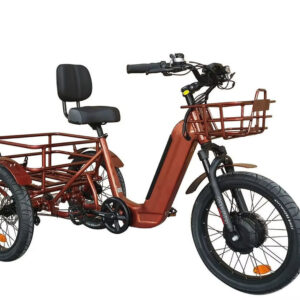 BREEZY Electric Trike 3 Wheel eBike 20" X 4" GTX-48v 500 w Fat Tire Electric Tricycle
