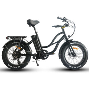 Coastal Cruiser 52V 20 Thru 750W Step Thru Ebike 20x4 Fat Tire Mini Electric Beach Cruiser