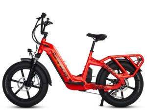 CYKE Collie Cargo Electric Cargo eBike-48v 750 w Mini Fat Tire Electric Cargo eBike