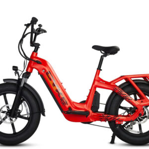 CYKE Collie Cargo Electric Cargo eBike-48v 750 w Mini Fat Tire Electric Cargo eBike