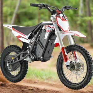 EBOX 2 V1 - 2000 w Motorcyle Ebike 12x2.75 Dirt Electric Pit Bike
