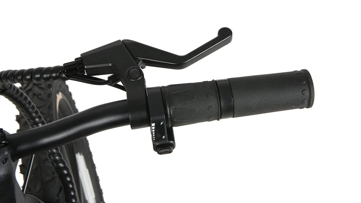 EUNORAU EKIDS 20 250w Micro eBike 20x1.95" Road Electric Micro eBike - Image 8