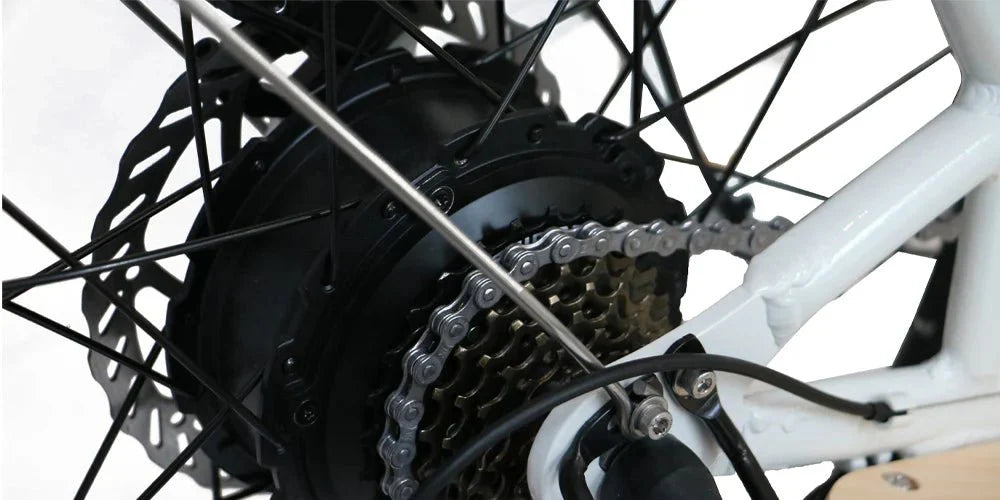 EUNORAU Max Cargo 750w Step Thru eBike 24x2.4 Road Electric Cargo eBike - Image 5