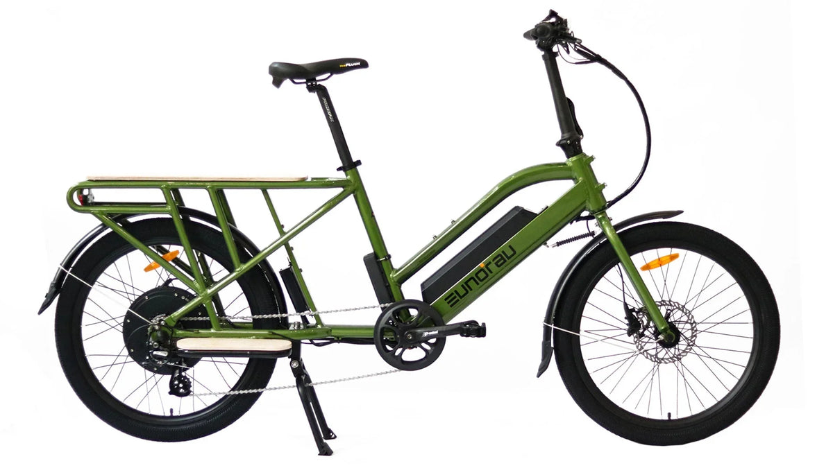EUNORAU Max Cargo 750w Step Thru eBike 24x2.4 Road Electric Cargo eBike - Image 3