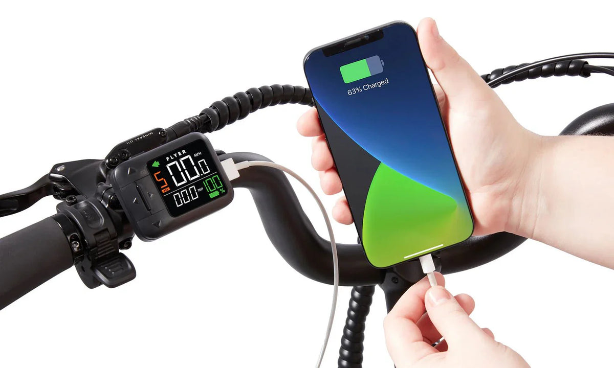 RADIO FLYER Via 500w Step Thru eBike 24x2.4 Street Electric Cargo eBike - Image 11