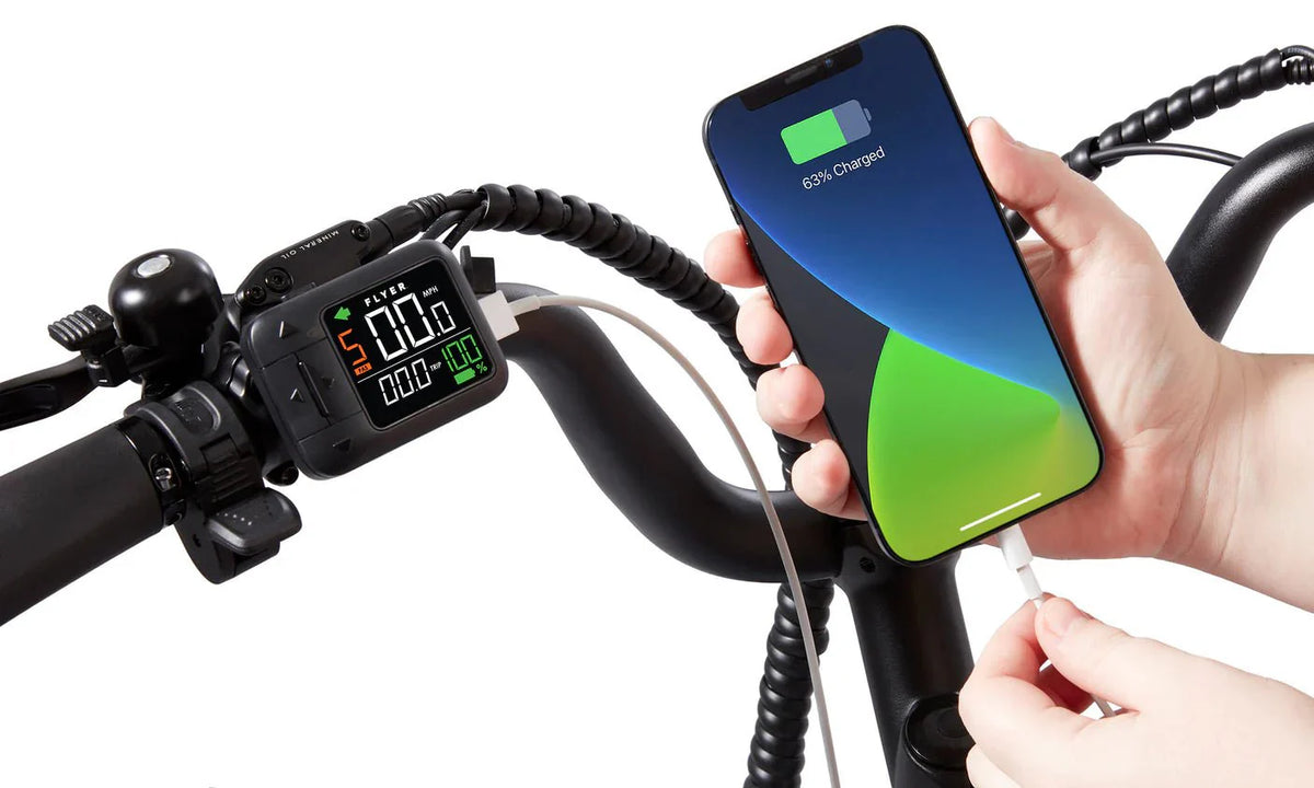 RADIO FLYER Via Pro 750w Step Thru eBike 24x2.4 Street Electric Cargo eBike - Image 4