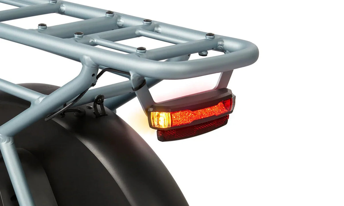 RADIO FLYER Via Pro 750w Step Thru eBike 24x2.4 Street Electric Cargo eBike - Image 3