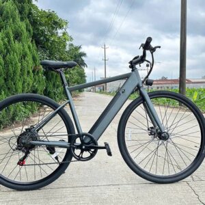 FREEGO E7 Electric Town eBike-Step Over 250w Electric Communter eBike
