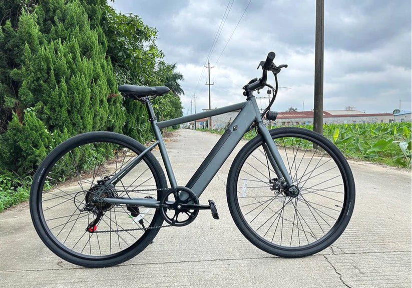 FREEGO E7 Electric Town eBike-Step Over 250w Electric Communter eBike