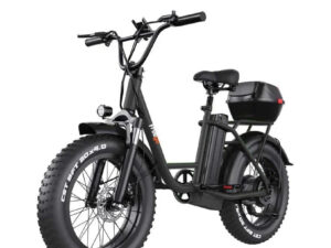 FREEGO Electric Cargo eBike FB-20X Step-thru-Step Thru 750 w Electric Communter eBike