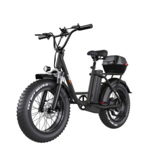FREEGO Electric Cargo eBike FB-20X Step-thru-Step Thru 750 w Electric Communter eBike