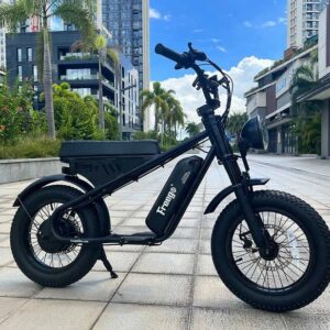 FREEGO M1 Electric e-Moto Style eBike-Moto 500 w Electric Mini Fat Tire eBike