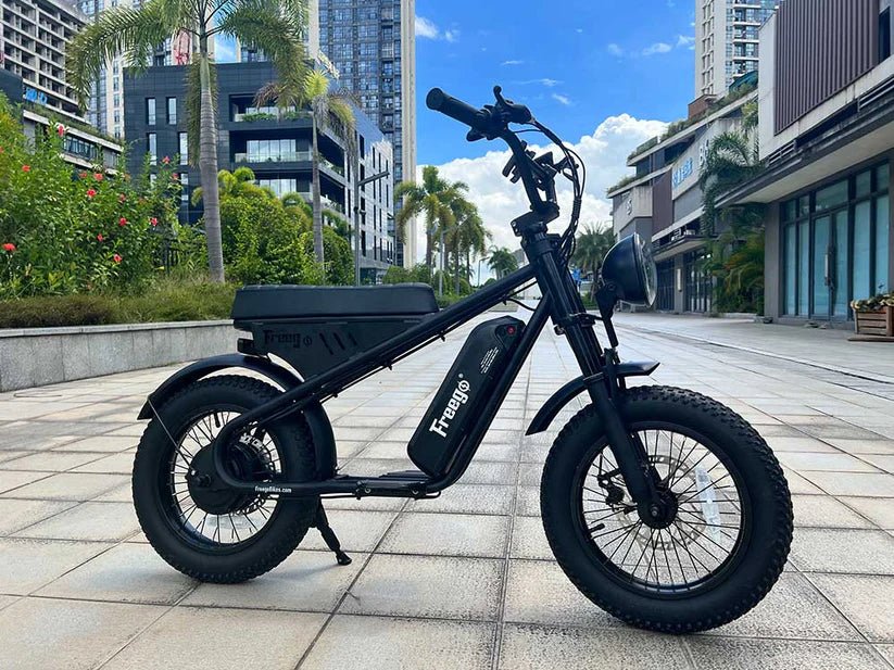 FREEGO M1 Electric e-Moto Style eBike-Moto 500 w Electric Mini Fat Tire eBike