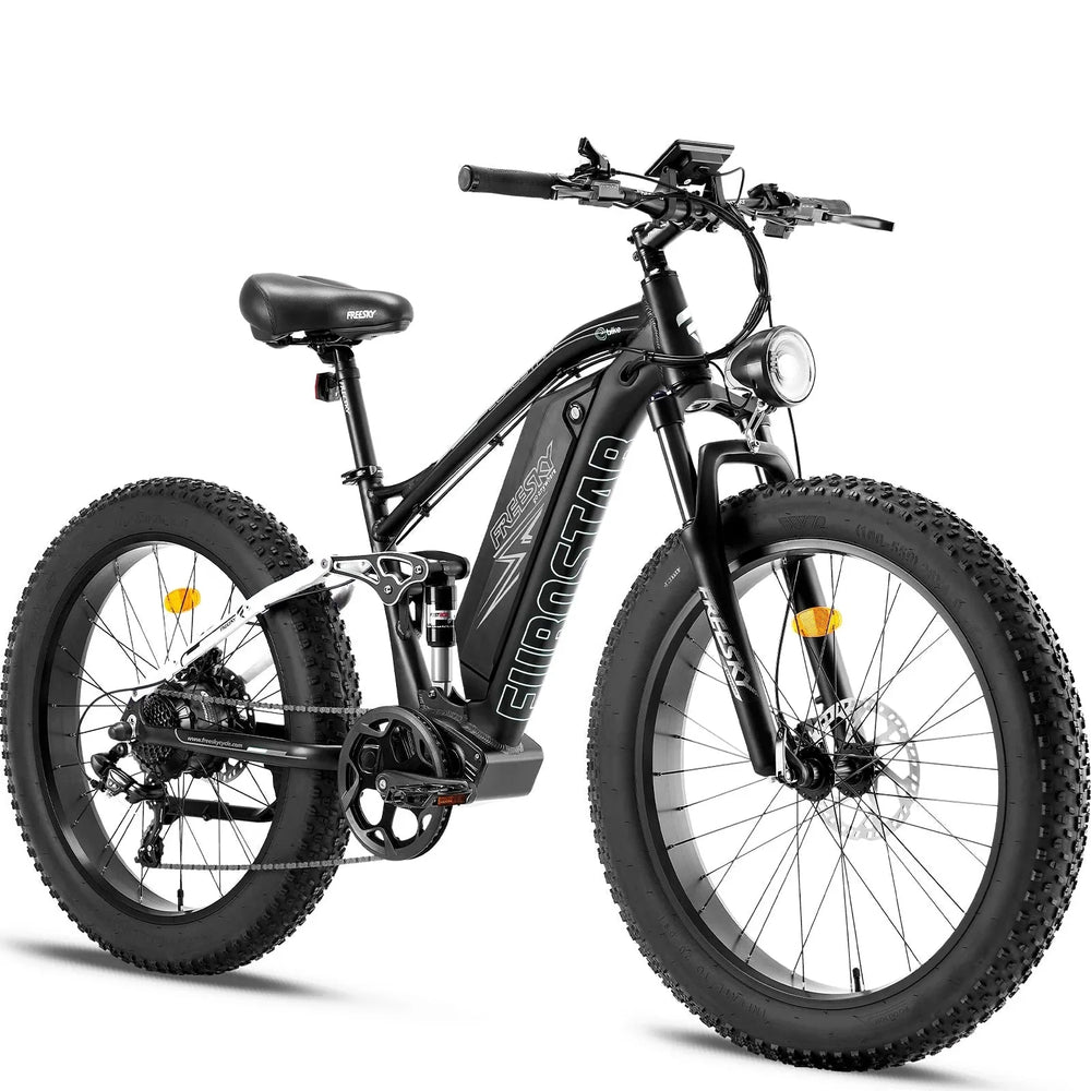 FREESKY Eurostar M-410 1000 w Mountain Ebike 4 Fat Tire Electric Fat Tire Mountain eBike - Image 3