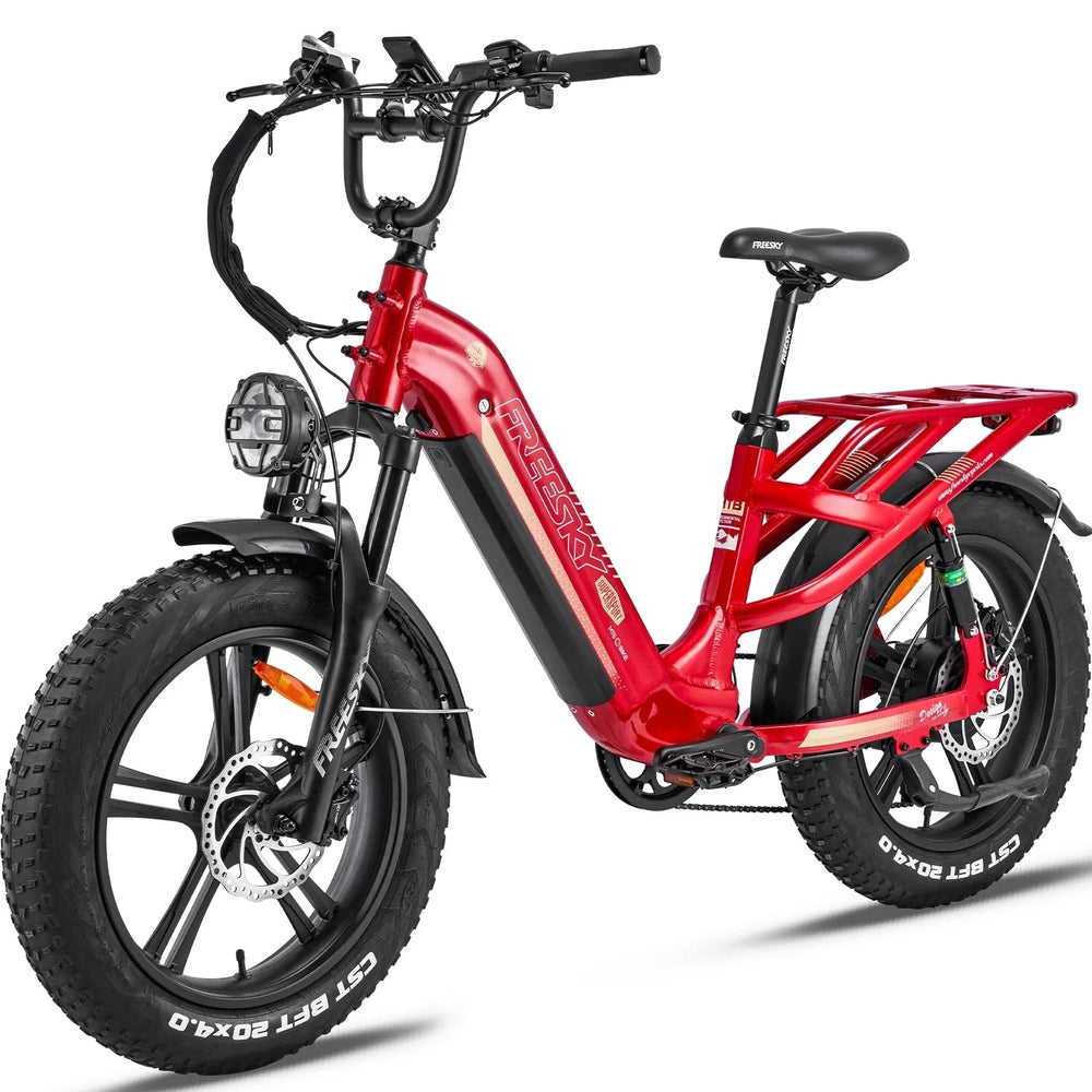 FREESKY Rocky 750 w Step Thru Ebike 20x4 Fat Electric Cargo eBike - Image 4