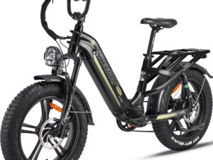 FREESKY Rocky 750 w Step Thru Ebike 20x4 Fat Electric Cargo eBike