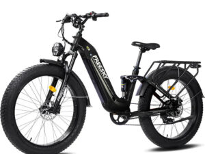 FREESKY Wildcat Pro A-340 1000 w Step Thru Ebike 4 Fat Tire Electric Fat Tire Mountain eBike