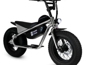 GOLDEN CYCLE Big Boy 350w Micro eBike 16x4 Fat Electric Mini Fat Tire eBike