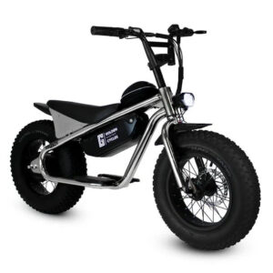 GOLDEN CYCLE Big Boy 350w Micro eBike 16x4 Fat Electric Mini Fat Tire eBike