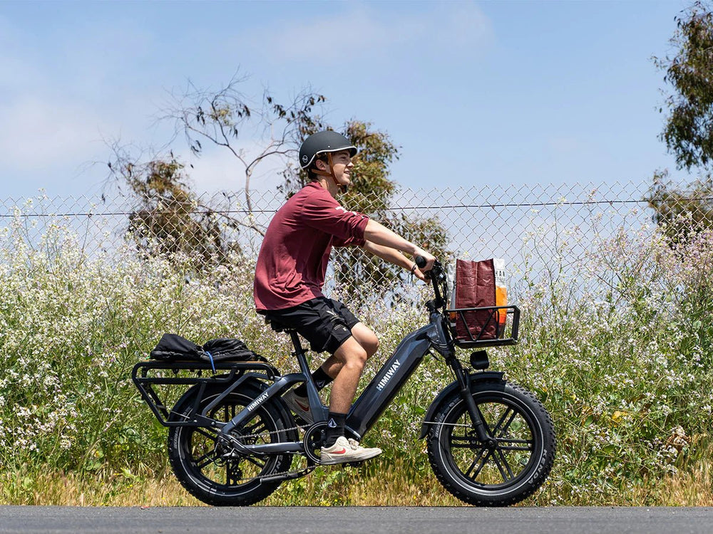 HIMIWAY Big Dog 750 w Step Thru Ebike 20x4 Fat Electric Cargo eBike - Image 5