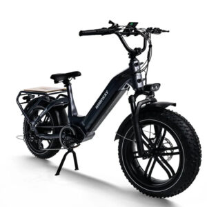 HIMIWAY Big Dog 750 w Step Thru Ebike 20x4 Fat Electric Cargo eBike