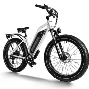 HIMIWAY Cruiser ST D3 750 w Step Thru Ebike 26x4 Fat Electric Fat Tire Mountain eBike