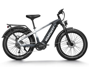HIMIWAY Zebra D5 750 w Step Over Ebike 26x4 Fat Electric Fat Tire Mountain eBike