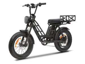 KASEN Malibu 1000 w Step Thru Ebike 20x4 Fat Electric Cargo eBike