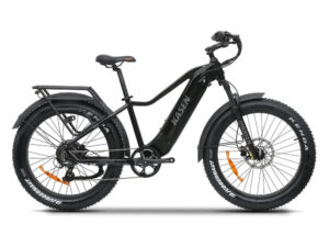 KASEN Ranger 2.0 750 w Step Over Ebike 26x4 Fat Fat Tire Electric Beach Cruiser eBike