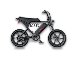 MACFOX M19 Electric e-Moto Style eBike-Step Over 250w Electric Mini Fat Tire eBike