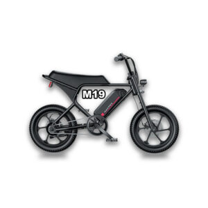 MACFOX M19 Electric e-Moto Style eBike-Step Over 250w Electric Mini Fat Tire eBike
