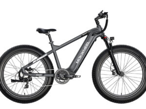 MOKWHEEL Basalt 750 w Step Over Ebike 26x4 Fat Tire Fat Tire Electric Beach Cruiser eBike