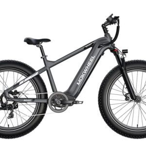 MOKWHEEL Basalt 750 w Step Over Ebike 26x4 Fat Tire Fat Tire Electric Beach Cruiser eBike