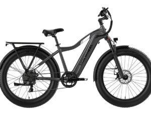 MOKWHEEL Tor Plus 750 w Step Over Ebike 26x4 Fat Tire Fat Tire Electric Beach Cruiser eBike