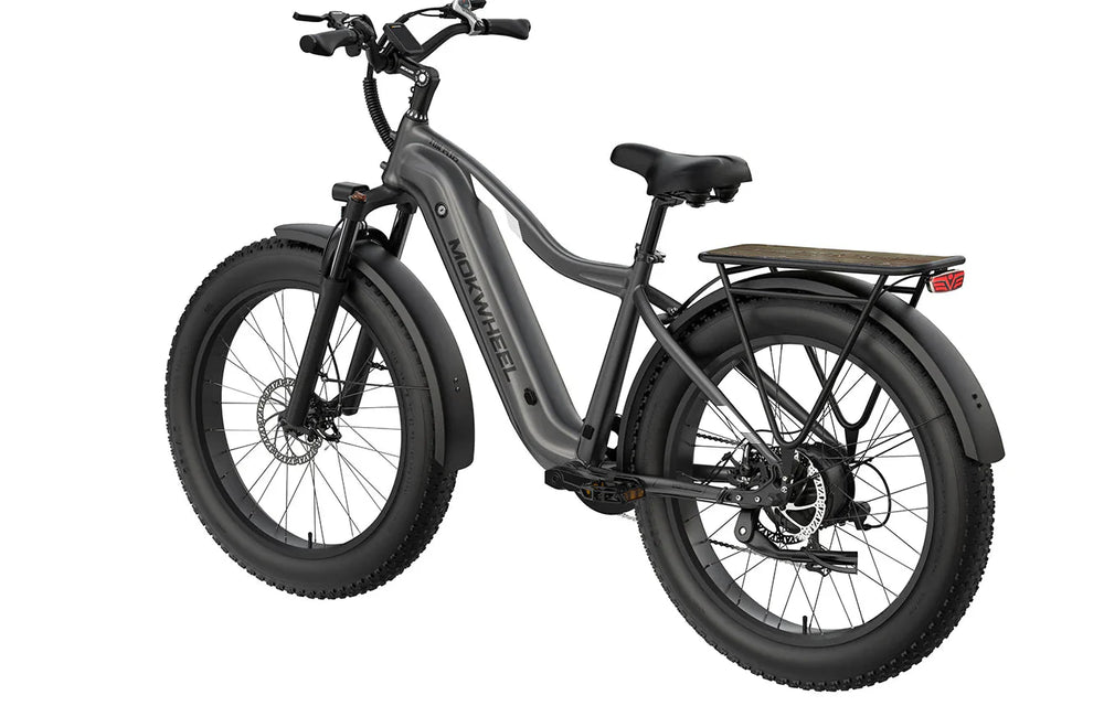 MOKWHEEL Tor Plus 750 w Step Over Ebike 26x4 Fat Tire Fat Tire Electric Beach Cruiser eBike - Image 3
