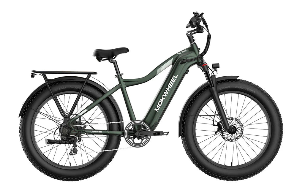 MOKWHEEL Tor Plus 750 w Step Over Ebike 26x4 Fat Tire Fat Tire Electric Beach Cruiser eBike - Image 2