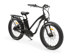 MURF Fat Tire Electric Beach Cruiser eBike Alpha ST-52v 750 w Electric Beach Cruiser eBike