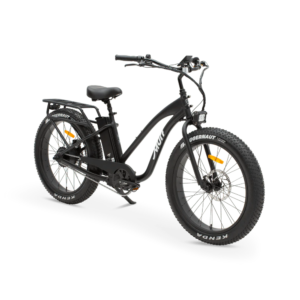 MURF Fat Tire Electric Beach Cruiser eBike Alpha ST-52v 750 w Electric Beach Cruiser eBike