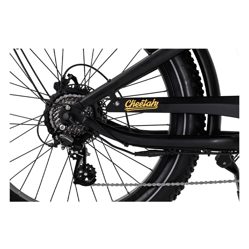 REVI Cheetah PLUS 750w Step Over Ebike 26x4 Fat Tire Electric Vintage eBike - Image 4