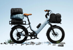 Electric bike
