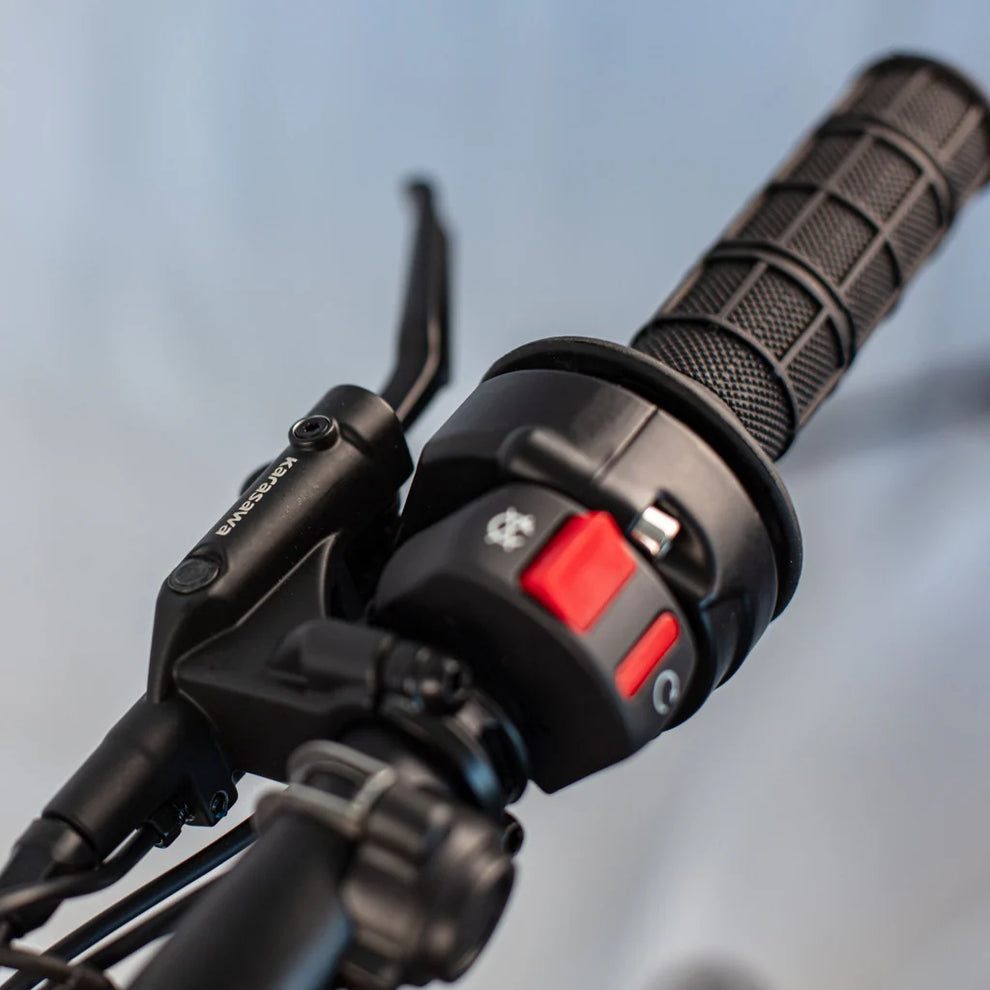 RAWRR MANTIS MINI 48-Volt Electric Dirt Bike for Kids - Image 4